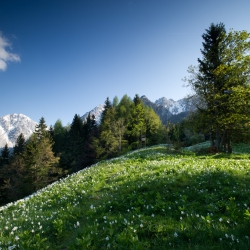 vom Glockner bis ins Lavanttal_19